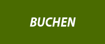 Buchen