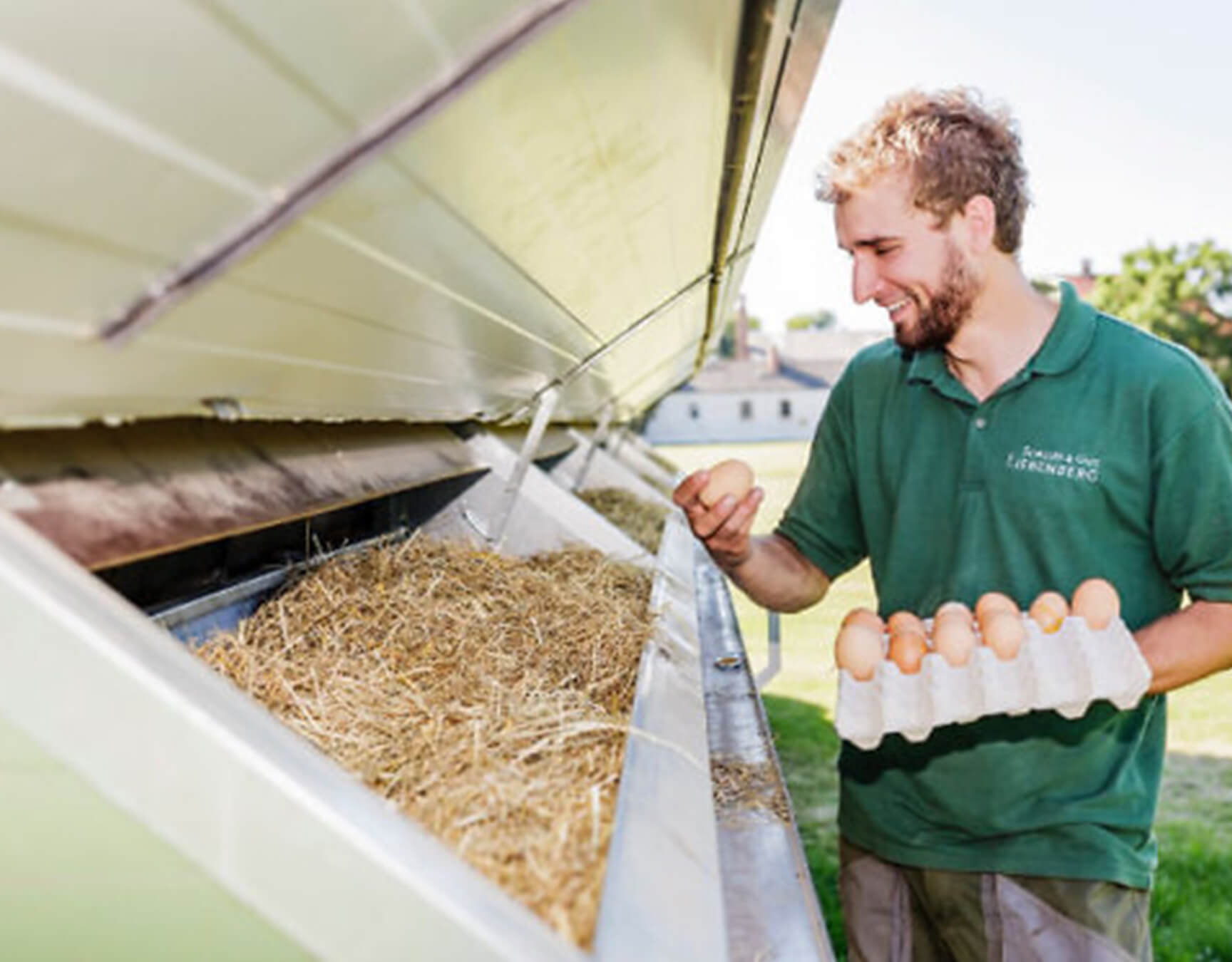 Hühnerhaltung Ihr Frühstücksei stammt von unseren gutseigenen Hühnern.